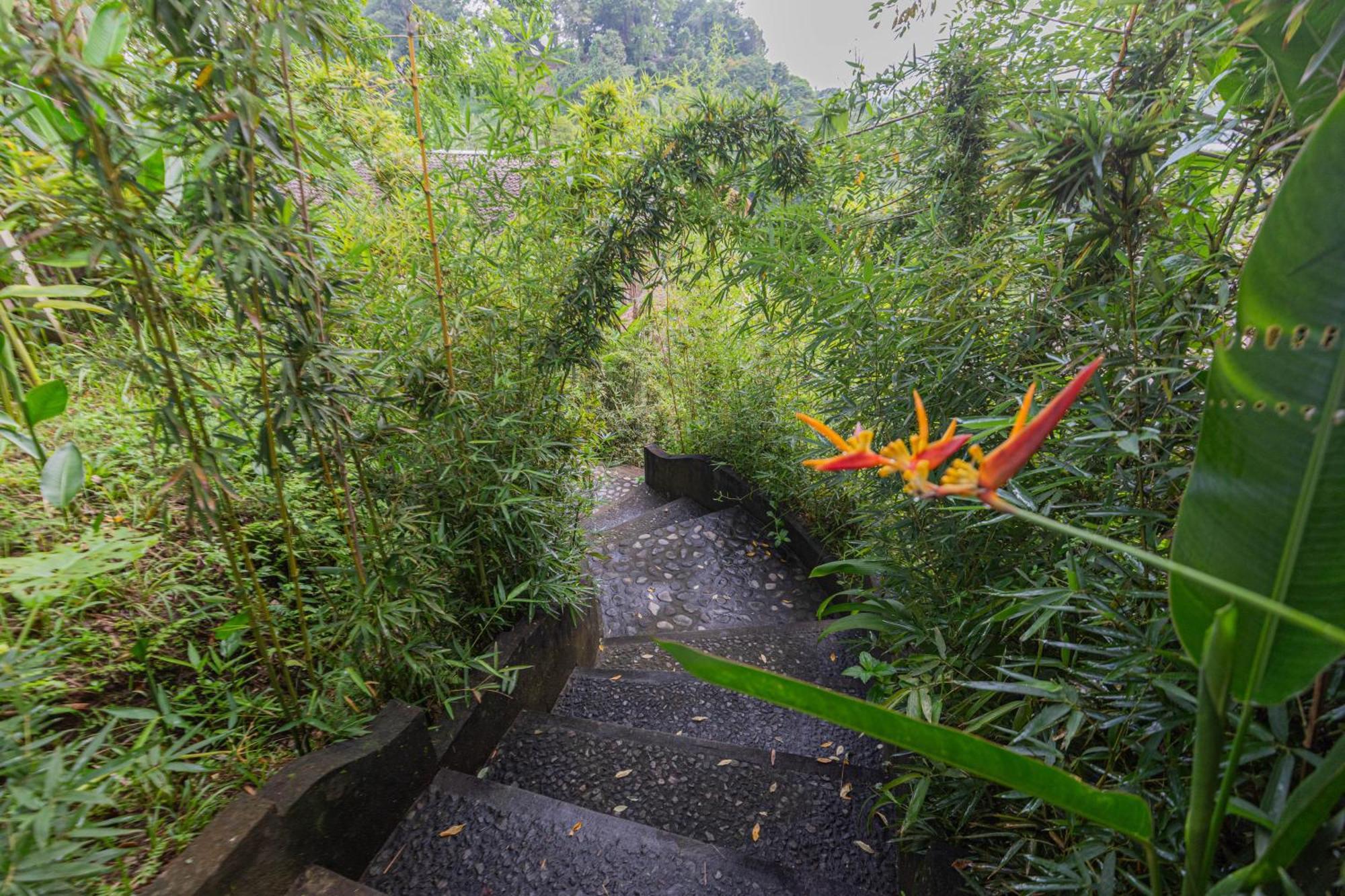 הוילה סיידמן Shigar Livin Bali מראה חיצוני תמונה